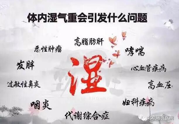 【健康养生】湿邪不除，百病生!盛夏如何远离“湿邪”侵害?(图2)