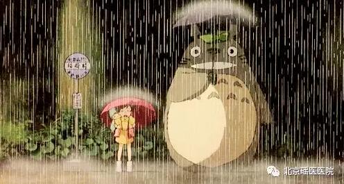 【健康养生】湿邪不除，百病生!盛夏如何远离“湿邪”侵害?(图1)