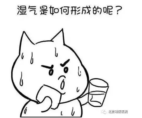 【健康养生】湿邪不除，百病生!盛夏如何远离“湿邪”侵害?(图3)