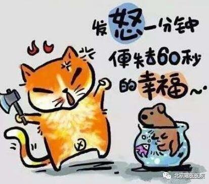 【情绪世界】你压抑的情绪，正一步步侵蚀你的身体(图2)