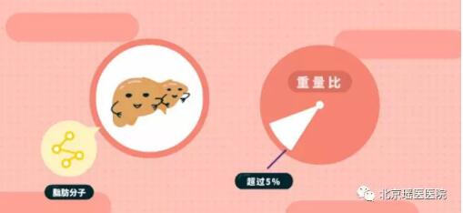 吃素的瘦子也会得脂肪肝?这还真不是个玩笑……(图3)