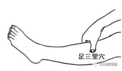 末伏养生 | 你不知道的养生秘诀全在这里!(图5)