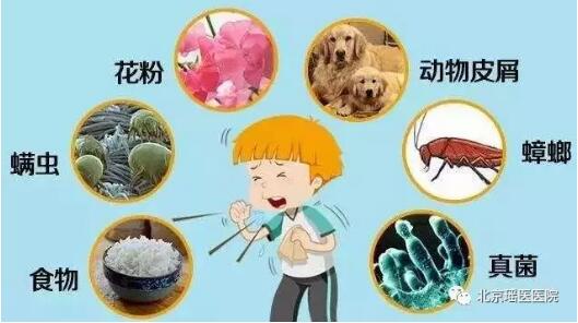 秋季鼻炎高发，预防它注意以下五点，鼻炎无法再近身(图2)