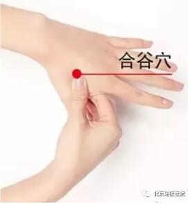 秋季鼻炎高发，预防它注意以下五点，鼻炎无法再近身(图5)