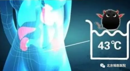 高温是肿瘤的克星，预防肿瘤一定要提高体温(图3)