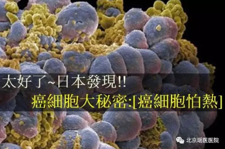 高温是肿瘤的克星，预防肿瘤一定要提高体温(图2)