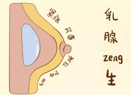 【健康】乳腺上3种疾病与乳腺肿瘤有关系(图2)