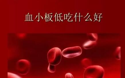 化疗引起的血小板降低，这么吃可以补回来！(图3)