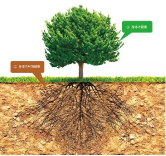 患者越来越多，是医学进步?还是无效?(图4)