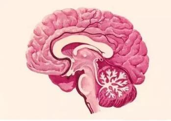 大脑不用，会慢慢“锈掉”吗?这五种方法让你大脑活跃起来!(图2)