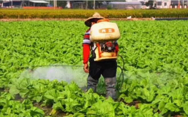 钟南山说再不控制：不但癌症高发，50年后中国人生不出孩子(图2)