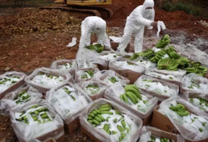 钟南山说再不控制：不但癌症高发，50年后中国人生不出孩子(图3)