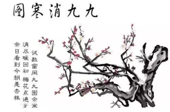 最冷三九天来了，千万别错过养生的最佳时机!(图2)