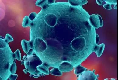 核酸阴性不能排除新冠感染？新冠肺炎的确诊方法有哪些？(图2)