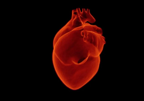 最新研究证明：心血管疾病会加速乳腺癌复发(图3)