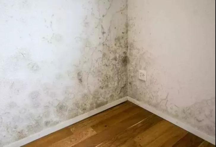 家中这些地方暗藏“致癌物”，很多人不知道、不重视……(图3)