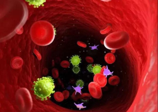 患癌与血型有关?A型、B型、AB型、O型，哪种更易让人患癌(图3)