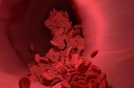 患癌与血型有关?A型、B型、AB型、O型，哪种更易让人患癌(图2)