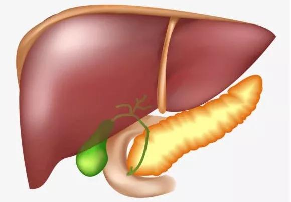 【解析】为何肝功能正常，却突然查出肝癌晚期?(图2)