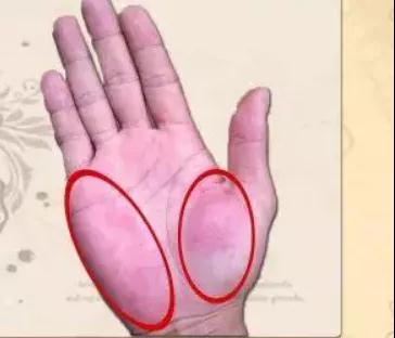 挺准!手掌上这块肉，一看就知道你身体好不好!(图4)