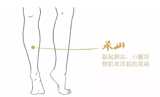 肥胖多“湿重” ，根子在脾虚;三式“祛湿补脾法”(图4)