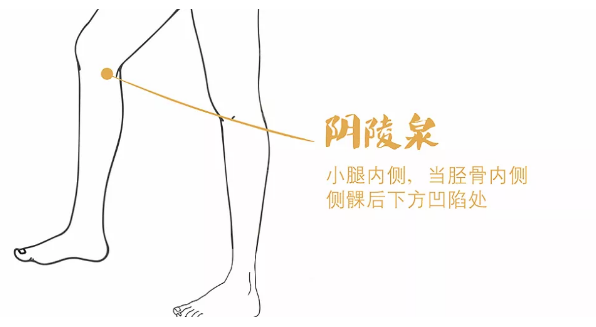 肥胖多“湿重” ，根子在脾虚;三式“祛湿补脾法”(图8)