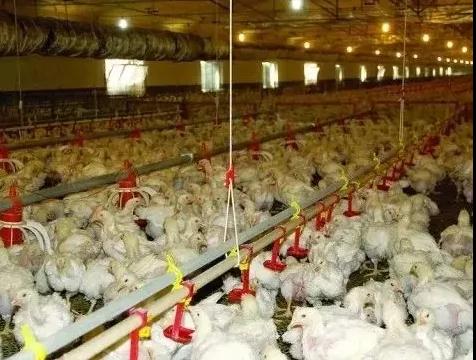 肿瘤专家：肿瘤越来越高发，我们究竟被隐瞒了什么?(图2)