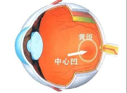 年轻人眼癌增三成! 睡前关灯玩手机会得眼癌?真相是…(图3)