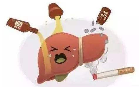 为什么肝经一旦堵住，最易得癌症?如何才能疏通?(图3)