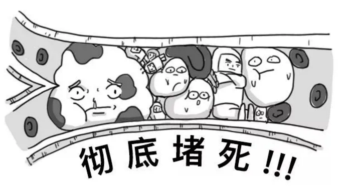 为什么说每个人的血管都可能会堵?(图5)