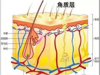 多次激光点“痣”者，13%会发生癌变，你还敢随意点痣吗?(图3)