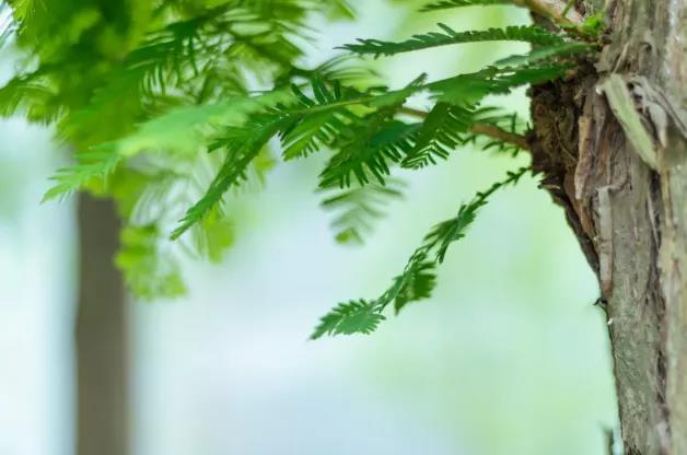 【科普】脑梗：1步自测、3步判断、7步预防(图7)