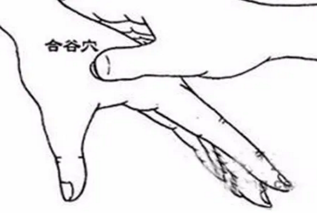 这些病都是“堵”出来的!5个疏通穴，一按就有效(图3)