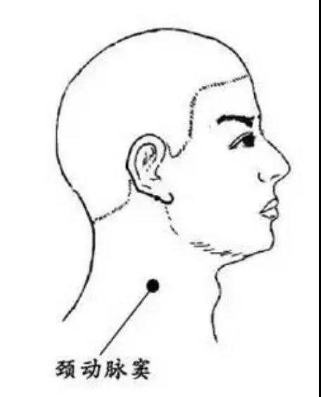 身体上血压和心率的“感应器”，任何时候都别随便按！(图3)