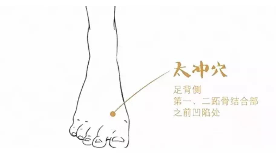 人体三大养肝穴位,经常按一按,保肝、排毒、补肾(图2)