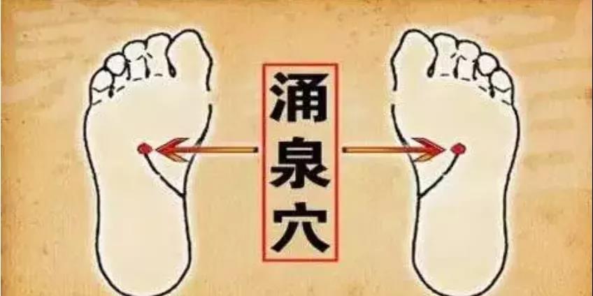 【健康】当肝、肾俱虚时,就会在腿上有所体现!(图4)