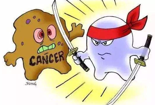 癌症防复发转移，重在改善癌细胞赖以生长“土壤”(图3)