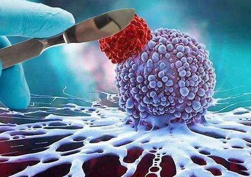 肿瘤科医生叮嘱患者的话，句句说中要害，一定要看看!(图2)