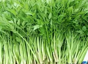 春季5种野菜堪称“致癌大王”，莫贪嘴(图2)