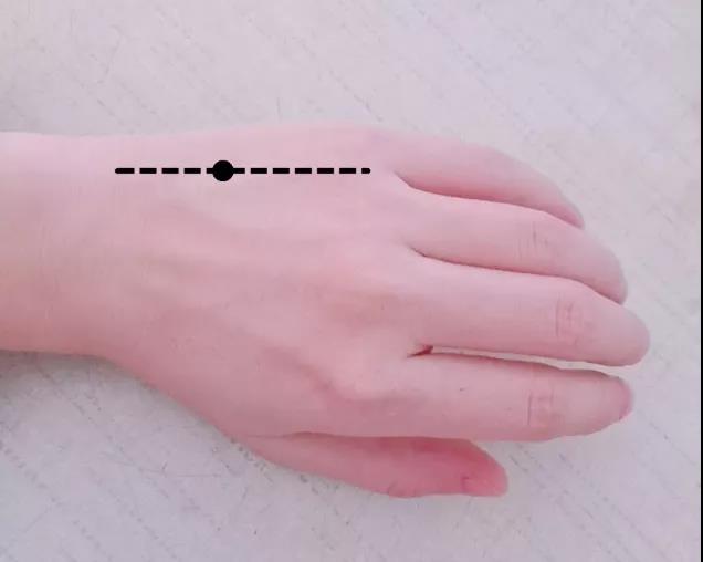 春季，这个春季最虚!不是肾、不是肝，你千万别养错!(图3)