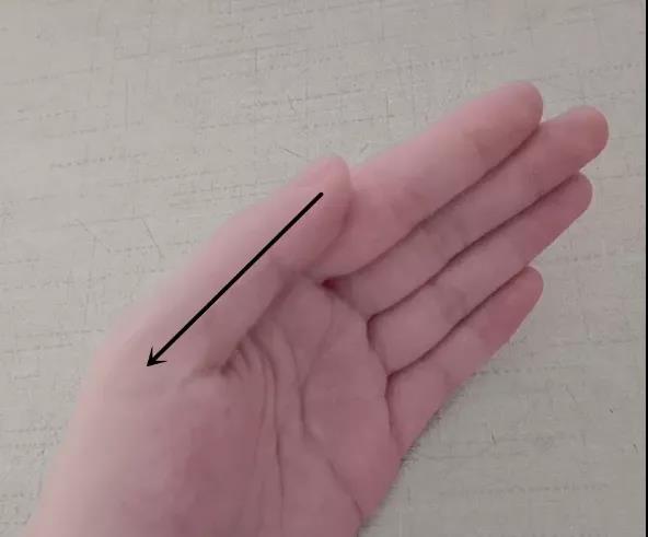 春季，这个春季最虚!不是肾、不是肝，你千万别养错!(图2)