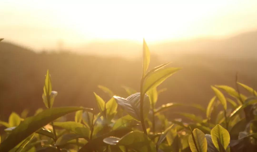 阳气不足，易患6种小病痛，这几招助你有效“养阳”(图3)