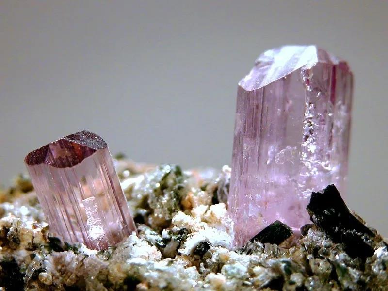 植物、动物、矿物等——瑶药多样品种包罗万象……(图3)