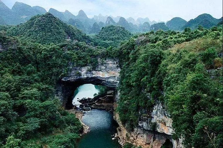 植物、动物、矿物等——瑶药多样品种包罗万象……(图7)