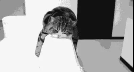 午睡虽好,但有个特大的坏处!2类人千万别午睡,尤其第一类人(图6)