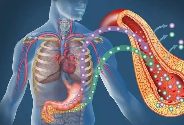 血糖一升,13种癌症“跟着来”,糖友需警惕!(图2)
