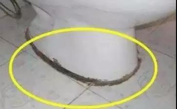 藏在厕所的“一级致癌物”,90%的人天天都接触!(图2)