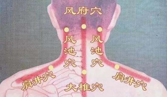 健康 | 家中这些小物件，用对了都是“养生神器”~(图4)