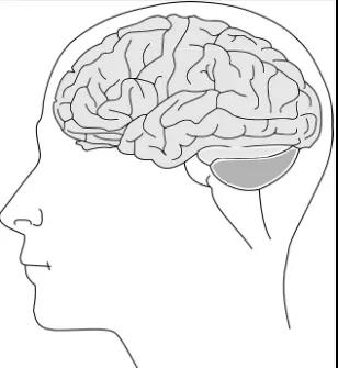健康 | 家中这些小物件，用对了都是“养生神器”~(图6)
