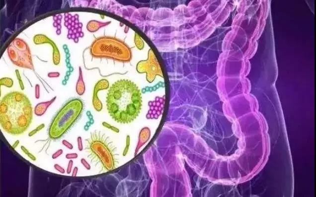 190万人数据证实：吃酸奶能防癌，特别爱吃肉的人更...(图2)